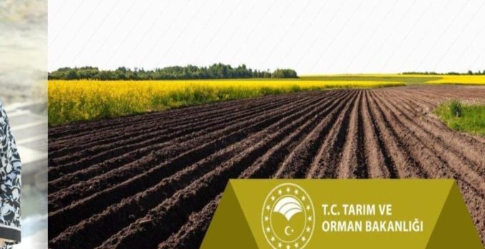 Zirai don nedeniyle ürünleri zarar gören çiftçilere destekleme ödemesi yapılacak