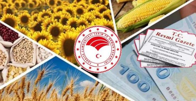 Bakanlık, sertifikalı tohum desteklerini artırdı