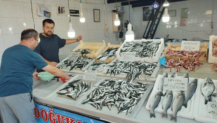 Tezgahlarda şenlik başladı