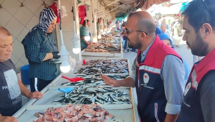 Su ürünleri satışı yapılan işletmeler denetleniyor