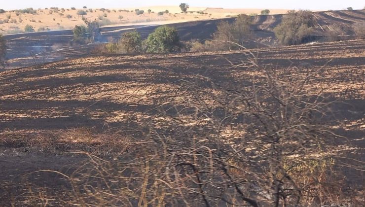 Anızlık alanda çıkan yangın söndürüldü