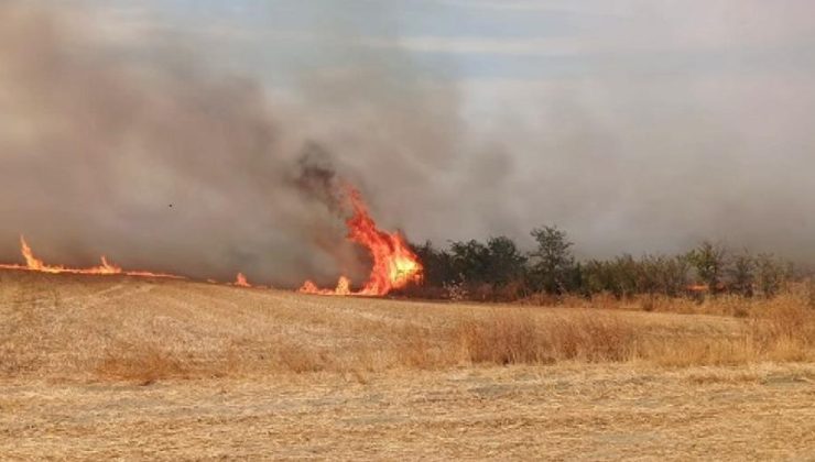 Meşelik alana sıçrayan yangın söndürüldü
