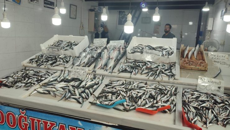 Tezgahlar balıkseverleri bekledi