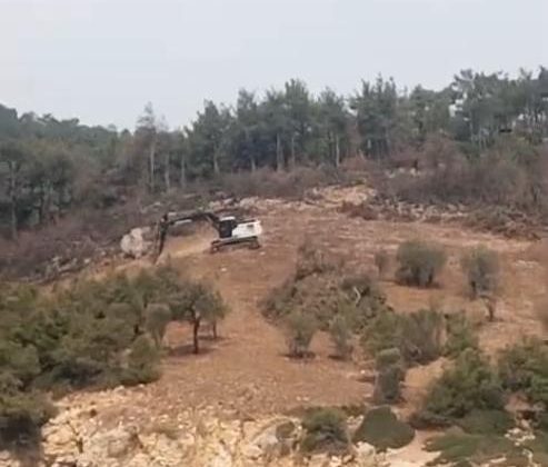 Yangında zarar gören alanda çalışan iş makineleri sosyal medyada paylaşıldı