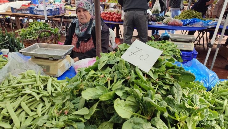 Ispanak 70 TL’den tezgahlarda