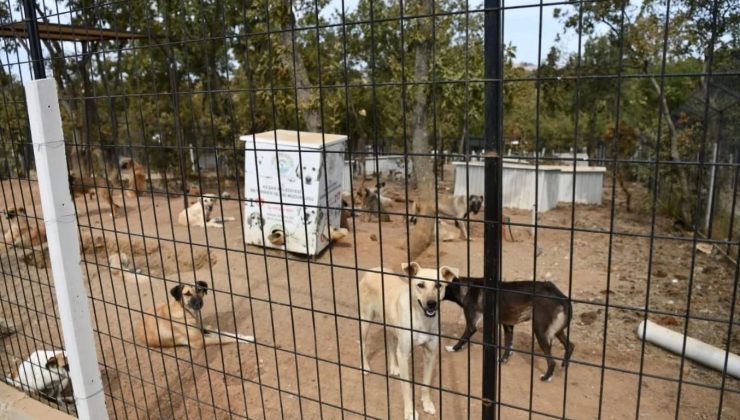 Cebeci, 4 Ekim’de “el birliği” ve “sahiplenme” çağrısı yaptı: “Bir elin nesi var iki elin sesi var”