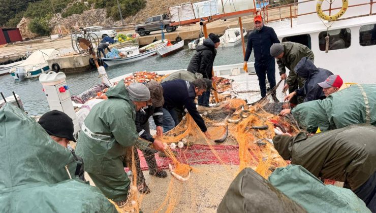 Mecidiye’de “kara kefal”  bereketi