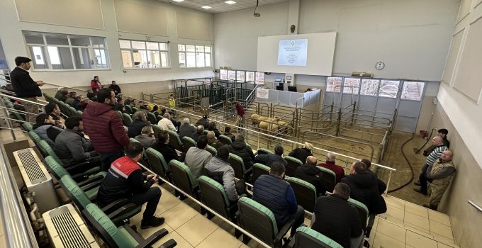 Edirne Ticaret Borsası hayvan satış tesisi kapatıldı