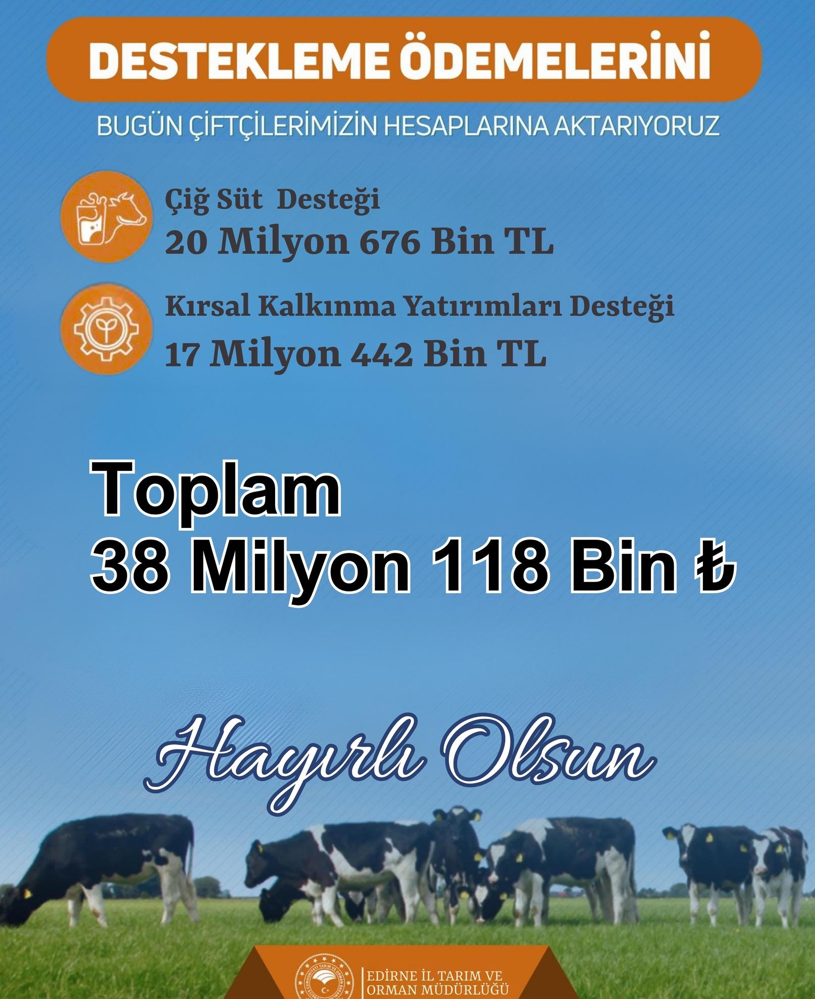 Otomatik taslak