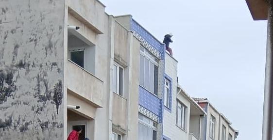 Yaşamına son vermek istedi