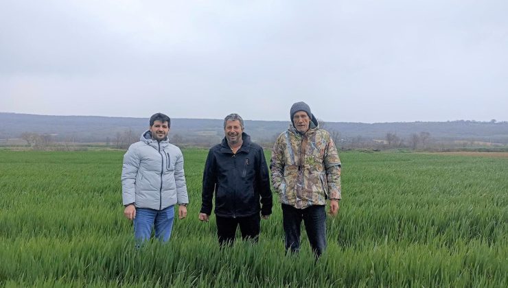 Keşan Ziraat Odası tarım danışmanları tarla kontrollerine devam ediyor