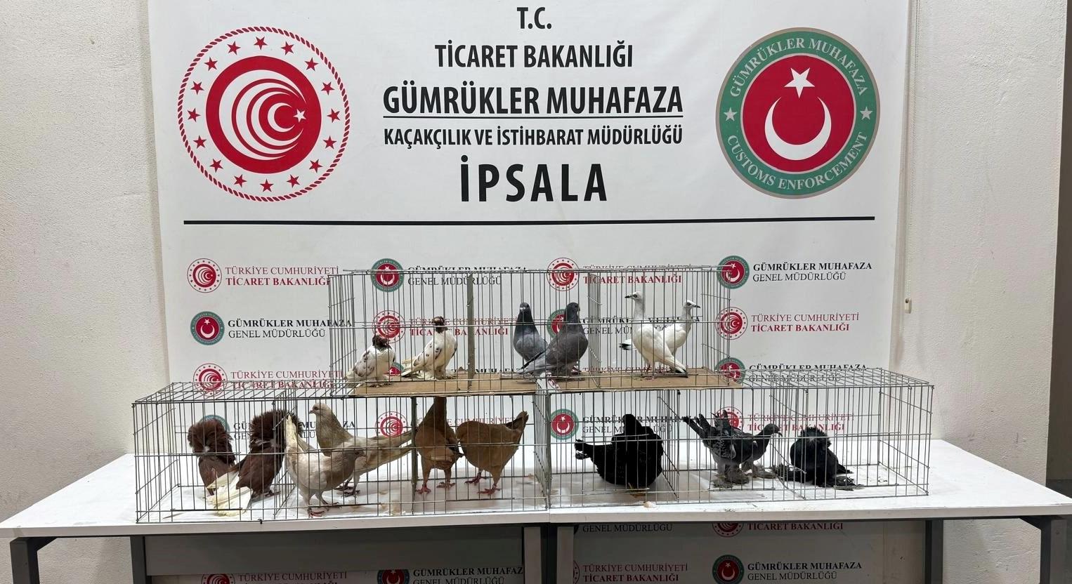 Otomatik taslak