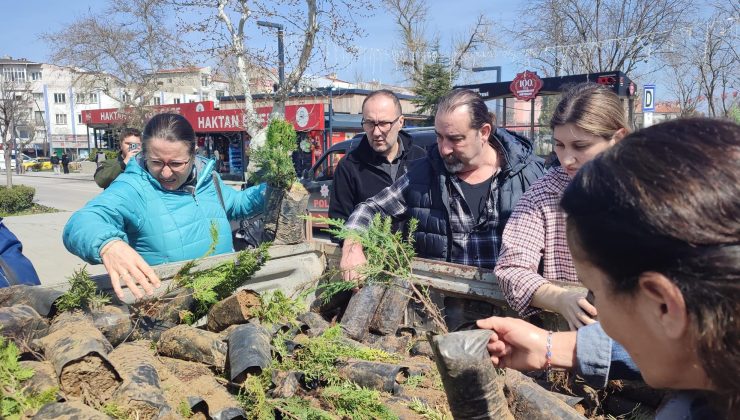 Bölgede ağaçlandırma seferberliği…