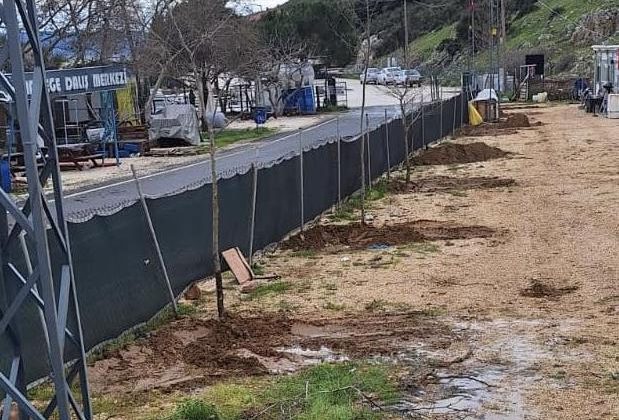 İbrice Limanı’nda ağaçlandırma çalışması yapıldı