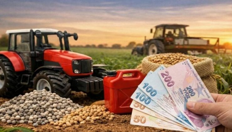Temel Destek ödemeleri dün itibarıyla hesaplara aktarılmaya başlandı