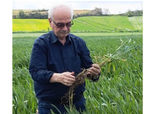 Lütfü Açar hububatta kök çürüklüğü tehlikesine dikkat çekti