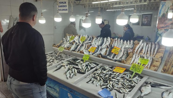 Yasak yaklaşırken çeşitler de düşmeye başladı