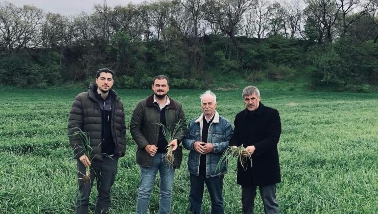 Mustafa Anbarcı 4 hastalık ile ilgili üreticilere uyarılarda bulundu