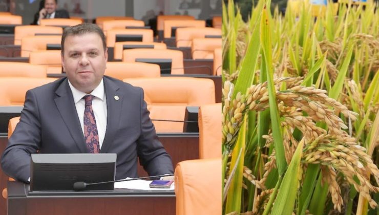 Ediz Ün: “Türkiye’de pirinç ithalatı yüzde 376 arttı”