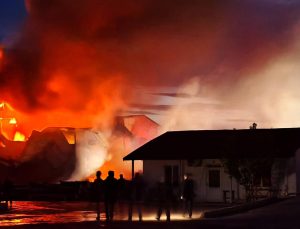 Kereste fabrikasında yangın