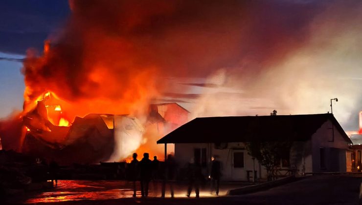 Kereste fabrikasında yangın