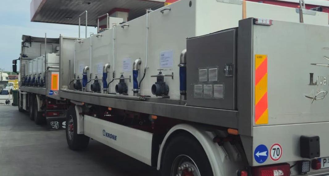 Arnavutluk’a 350 bin adet yavru levrek…