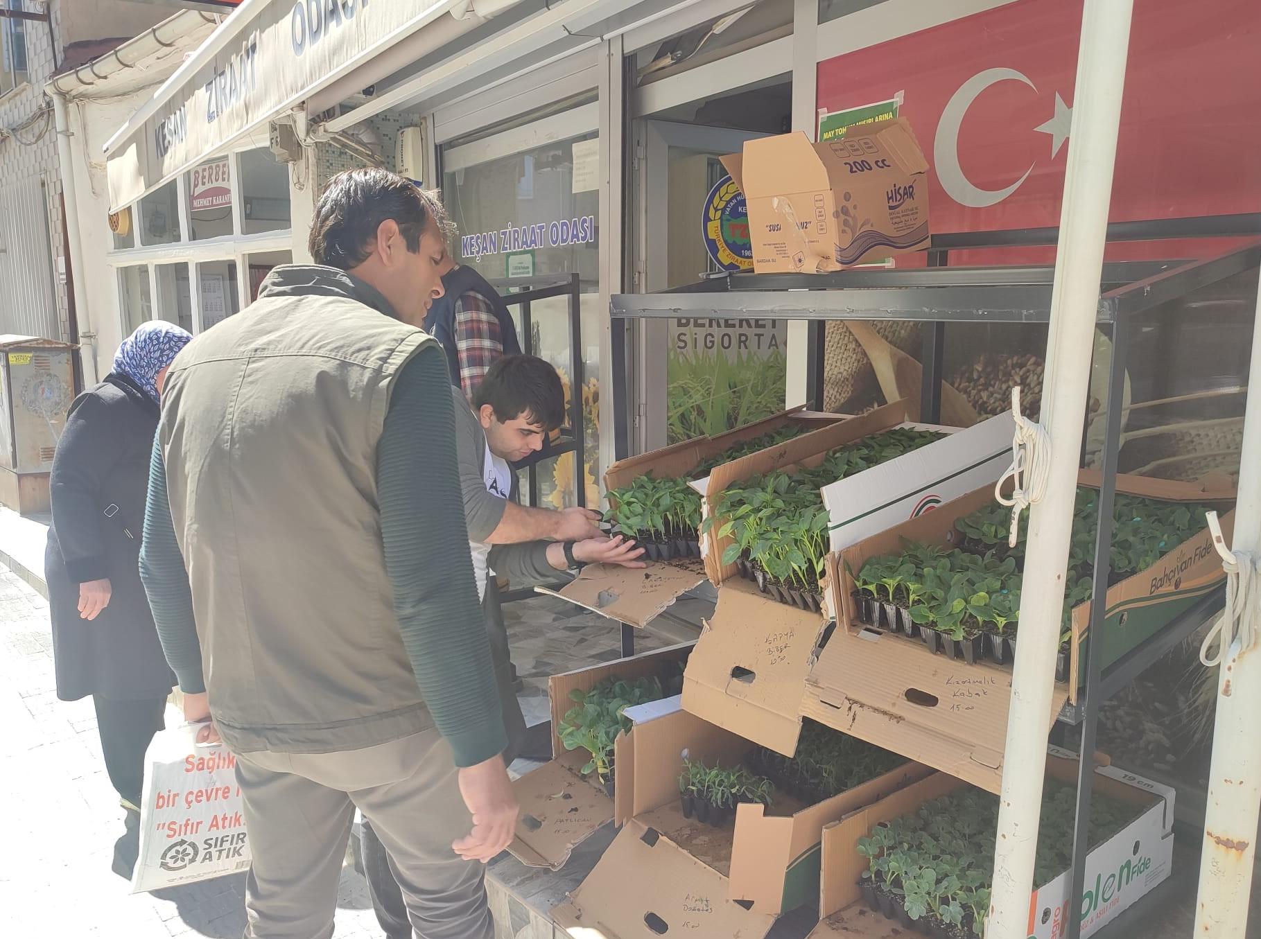 Ziraat Odası’ndaki fide satışına büyük ilgi…