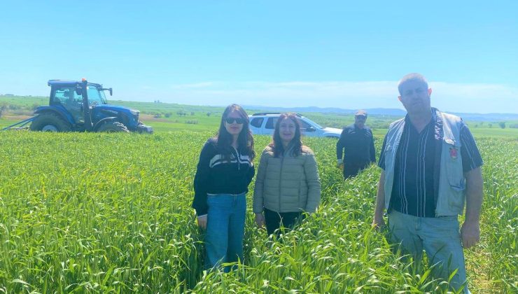 Ziraat Odası tarım danışmanları incelemelerine devam ediyor