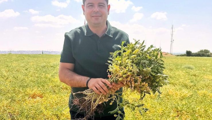 Edirne Genç Çiftçiler Derneği Başkanı Egemen Ilgın: “Türk çiftçisinin gayreti takdire şayandır”