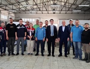 Yeni sezon için balık üretimi başladı
