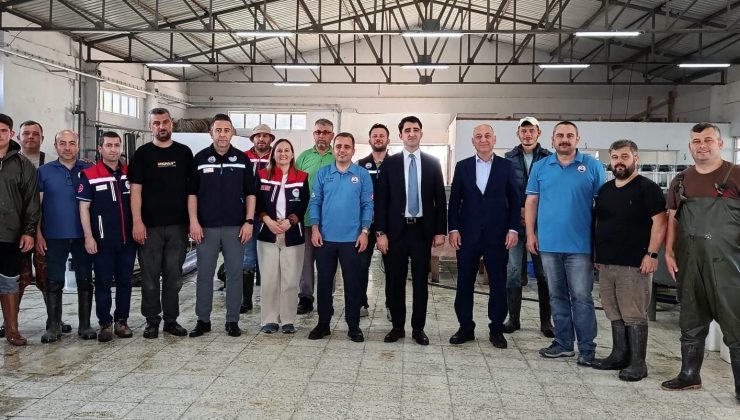 Yeni sezon için balık üretimi başladı