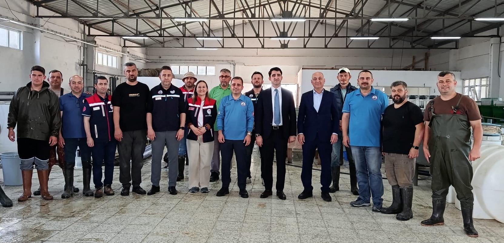Yeni sezon için balık üretimi başladı