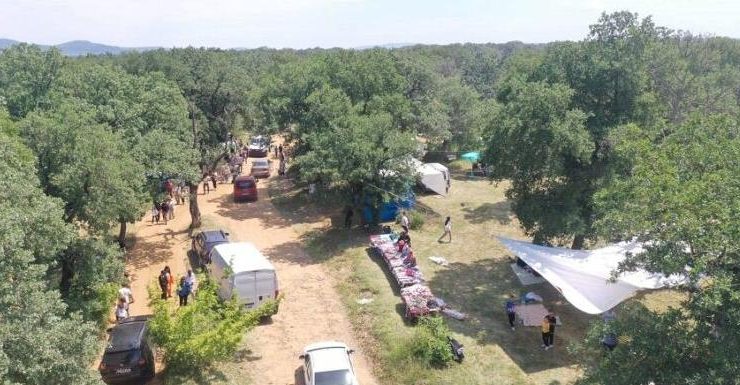 Dallık Şenlikleri yarın yapılacak