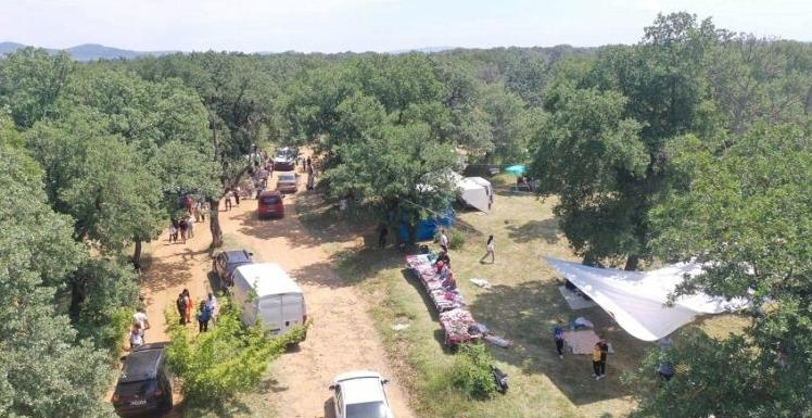 Dallık Şenlikleri yarın yapılacak