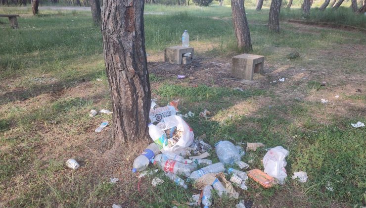 Ağaç dallarını topladılar, çöplerini doğaya attılar
