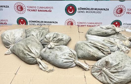 Kapıkule’de 760 kg akivades midyesi ele geçirildi
