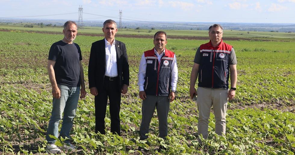 Köse anıza ayçiçeği uygulamasını inceledi