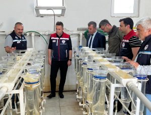 Milyonlarca üretim yapılan tesis incelendi