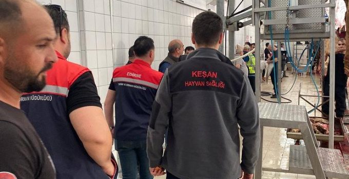 Kurban Bayramı’nda 383 kurbanlık kesildi