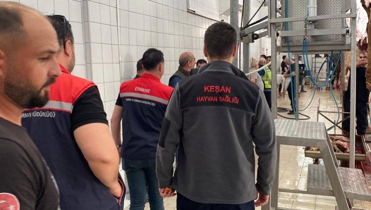 Kurban Bayramı’nda 383 kurbanlık kesildi