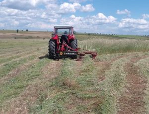 Edirne merkez Sazlıdere köyü meralarında ot biçimi gerçekleştirildi
