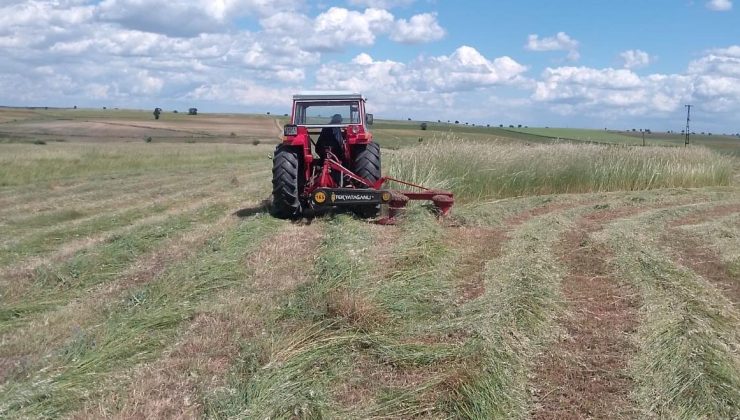Edirne merkez Sazlıdere köyü meralarında ot biçimi gerçekleştirildi