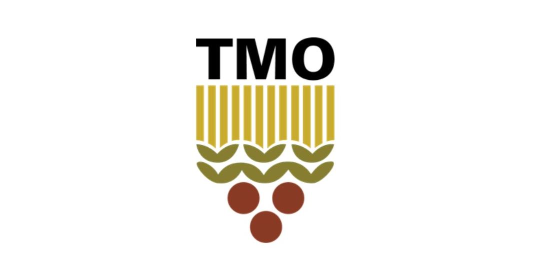 Otomatik taslak