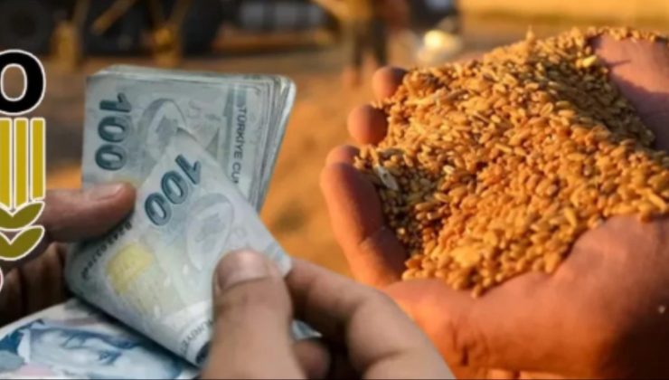 TMO 2026 hububat alım fiyatlarını açıkladı: Buğday 16 bin 500 TL, arpa 12 bin 750 TL