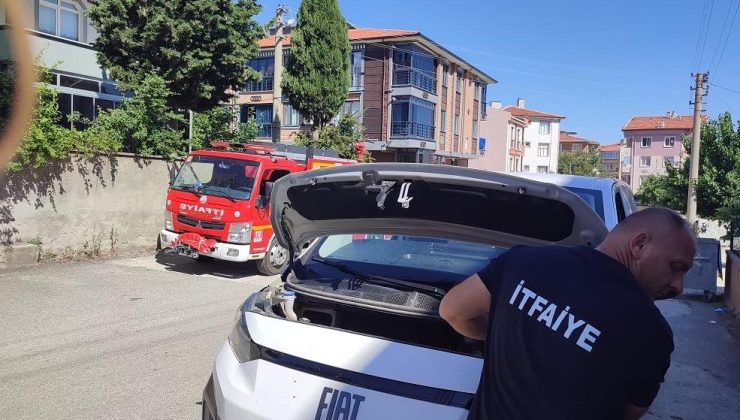 Motora giren yavru kedi için operasyon…