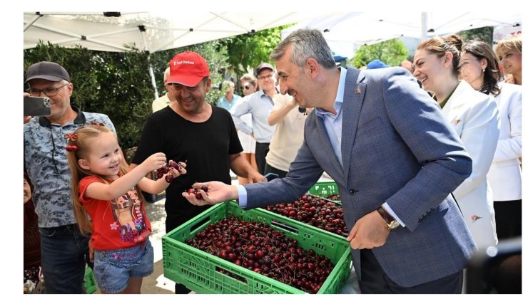 “Çeribaşı Kirazı”nda hasat başladı