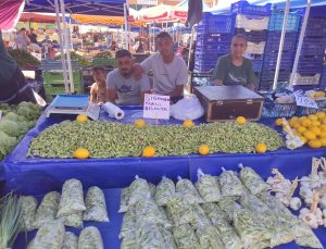 Siğilli Bamyası tezgahlarda yerini aldı