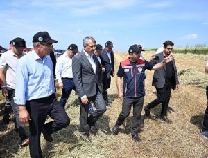 İl Tarım ve Orman Müdürlüğü yem ihtiyacı için çalışıyor