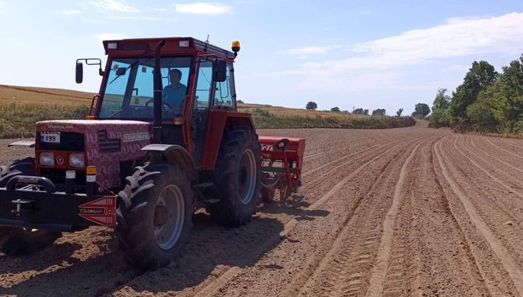Sultan köyde kavun tohumları toprakla buluştu