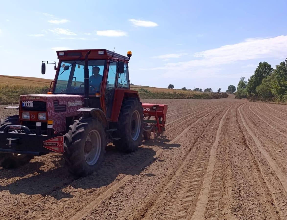 Sultan köyde kavun tohumları toprakla buluştu